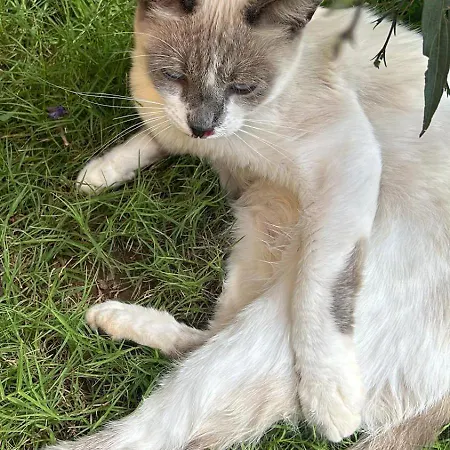 Di Cristina Gasthuis