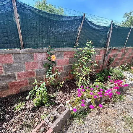 Di Cristina *