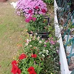 Di Cristina Pensión Masainas