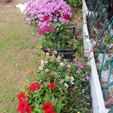 Di Cristina בית הארחה Masainas