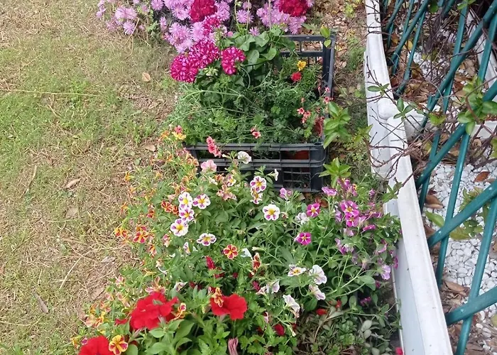 Di Cristina 招待所 Masainas